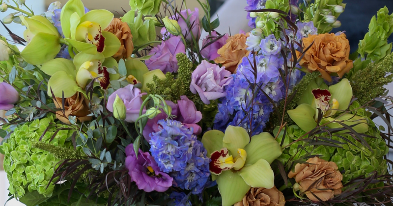 Safe and Toxic Flowers for Pets