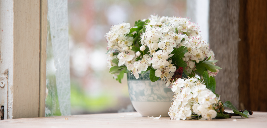 May Birth Flower: Lily of the Valley and Hawthorn | Pink Clover