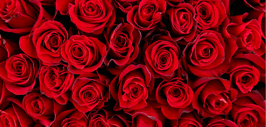 Luxury Rose Delivery Los Angeles: Where to Order Flowers Online