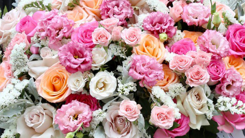 Rose Color Meanings: What Each Shade Says Without Words
