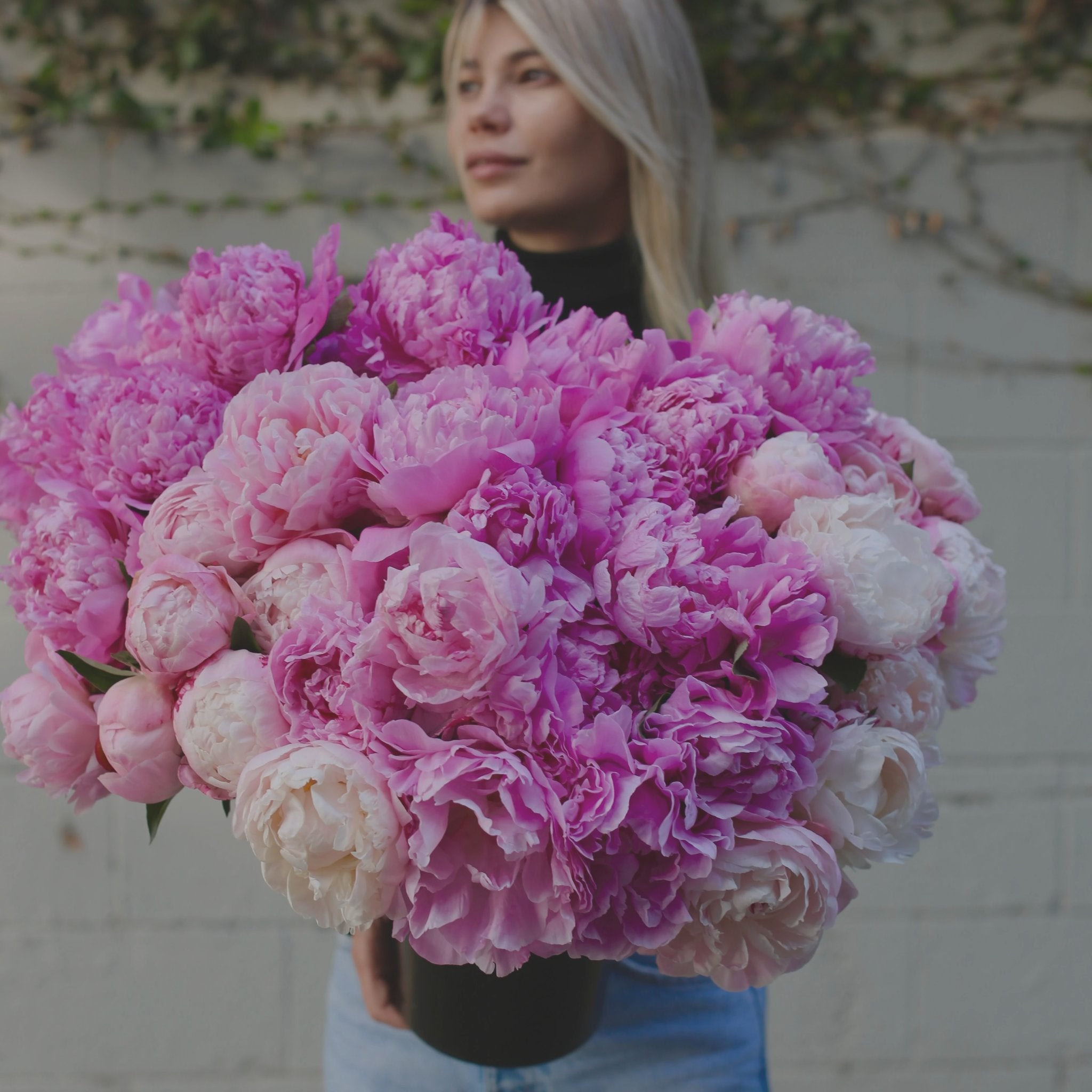 Peonies - Los Angeles Florist - Pink Clover