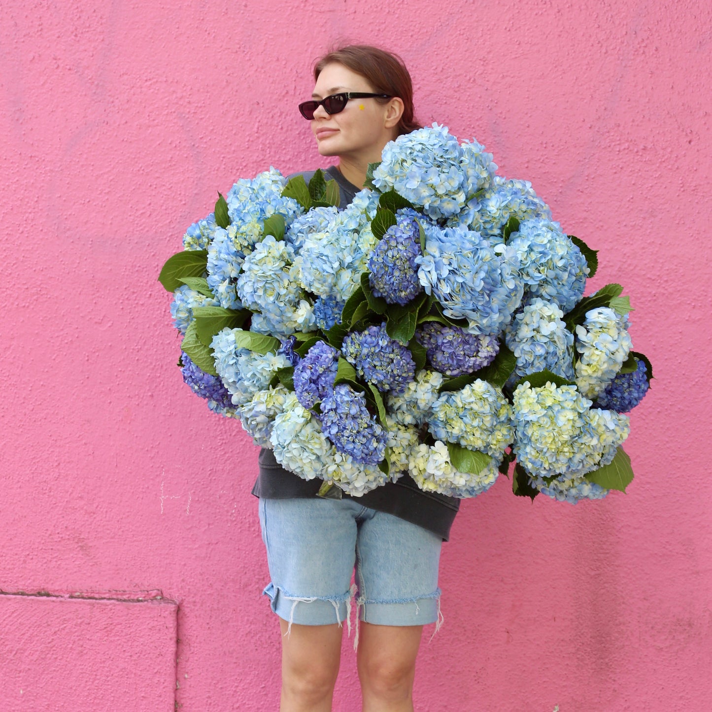Sapphire Dreams - Los Angeles Florist - Pink Clover