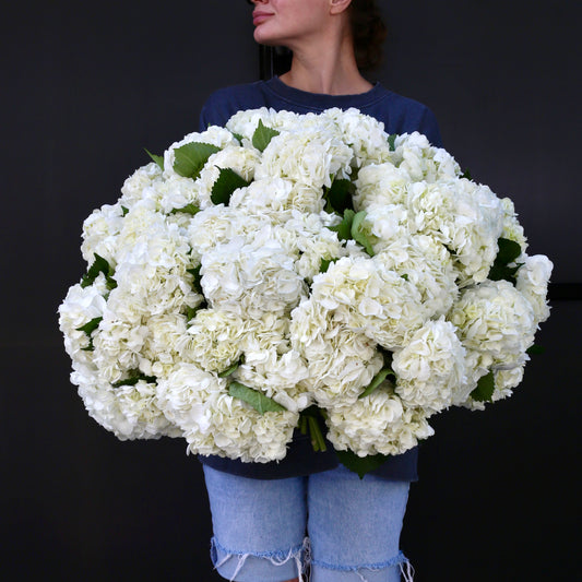 Elegant bouquet of white flowers with soft green accents, ideal for serene celebrations