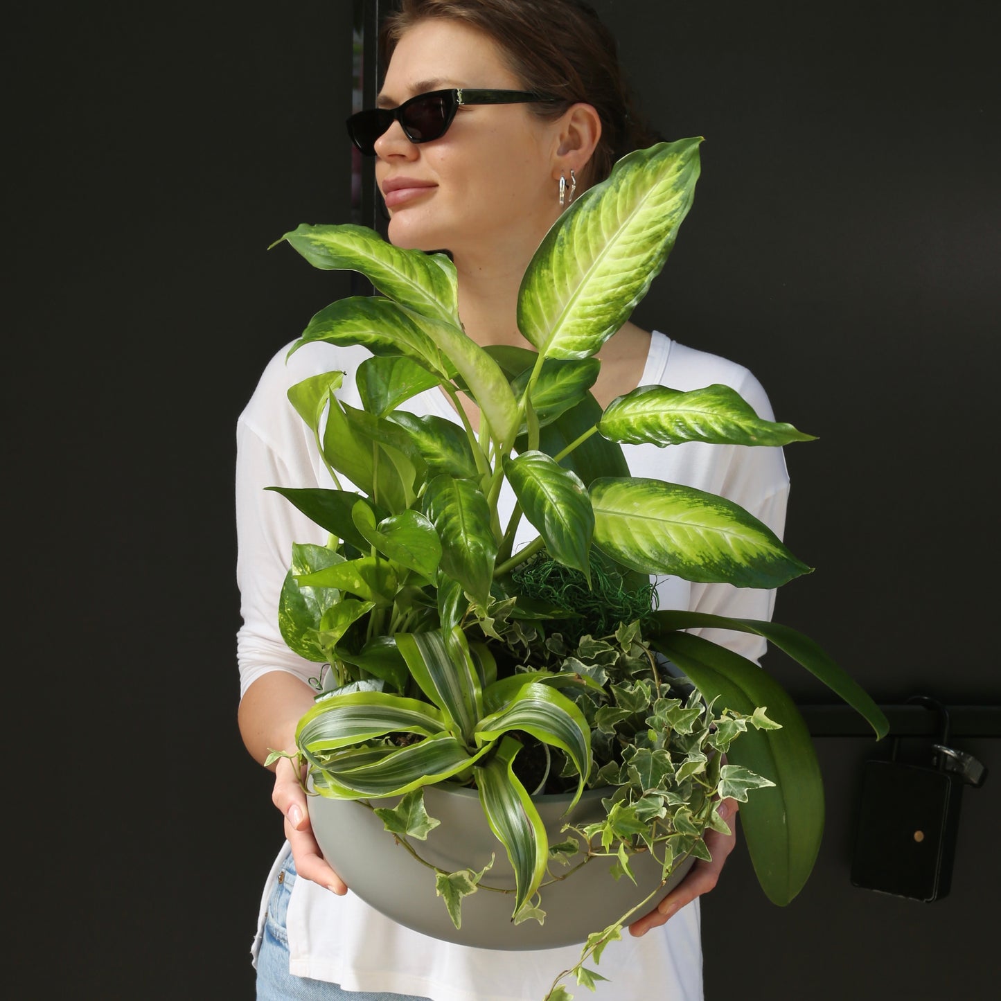 Indoor plant mix featuring lush greenery in varying textures, elegantly wrapped in kraft paper and satin ribbon – Plant Mix by Pink Clover LA.