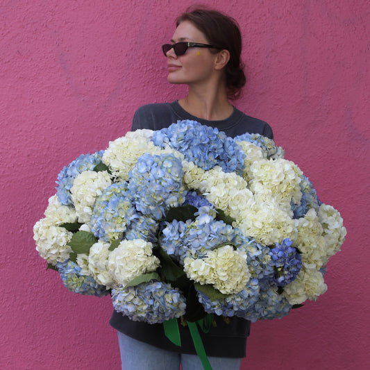 Elegant bouquet of blue delphiniums and white roses, ideal for serene celebrations