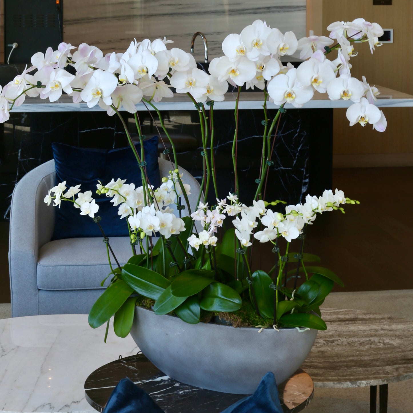 Elegant bouquet of white orchids with soft green accents, ideal for serene celebrations