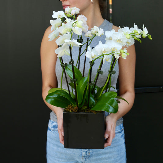 Elegant floral arrangement of white roses with silver accents, ideal for celestial-themed celebration