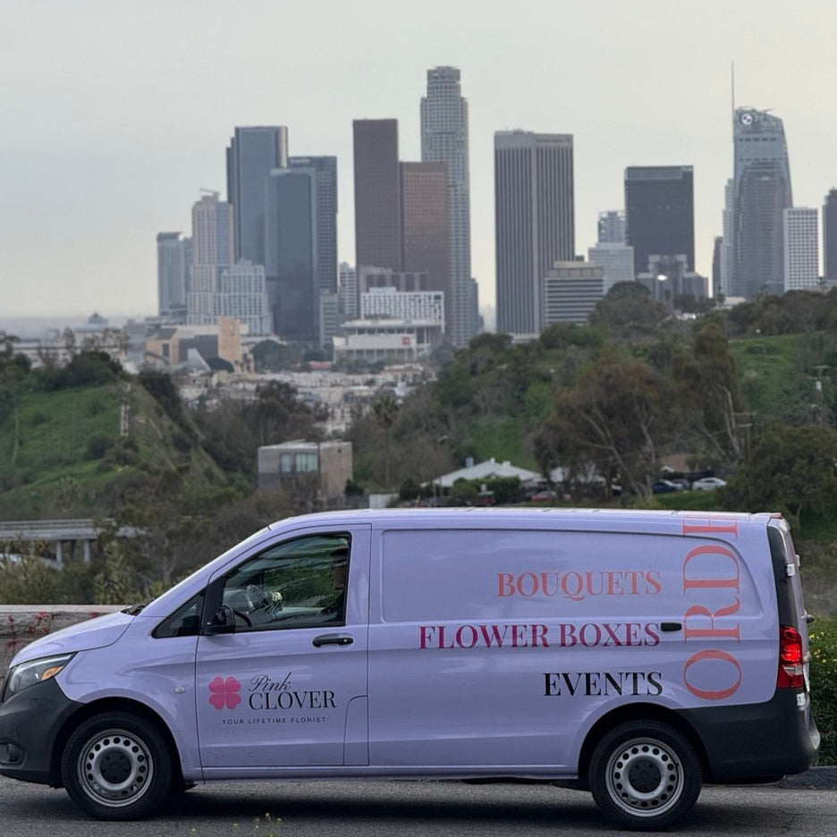 Exact Delivery Time (9AM-12PM)