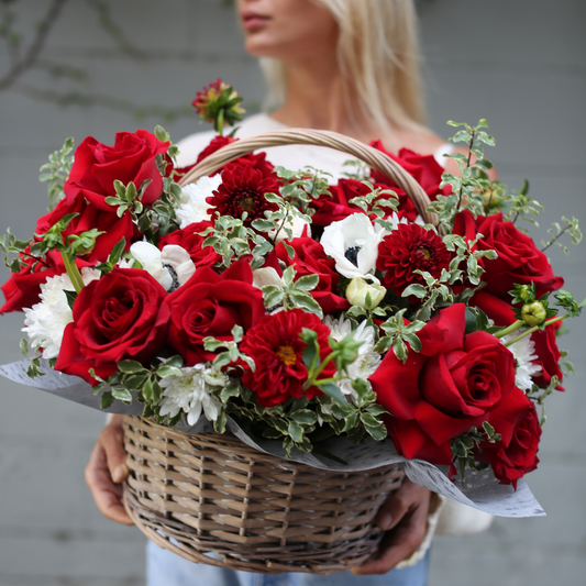 Vibrant red rose bouquet wrapped in soft ivory ribbon, symbolizing love and elegance