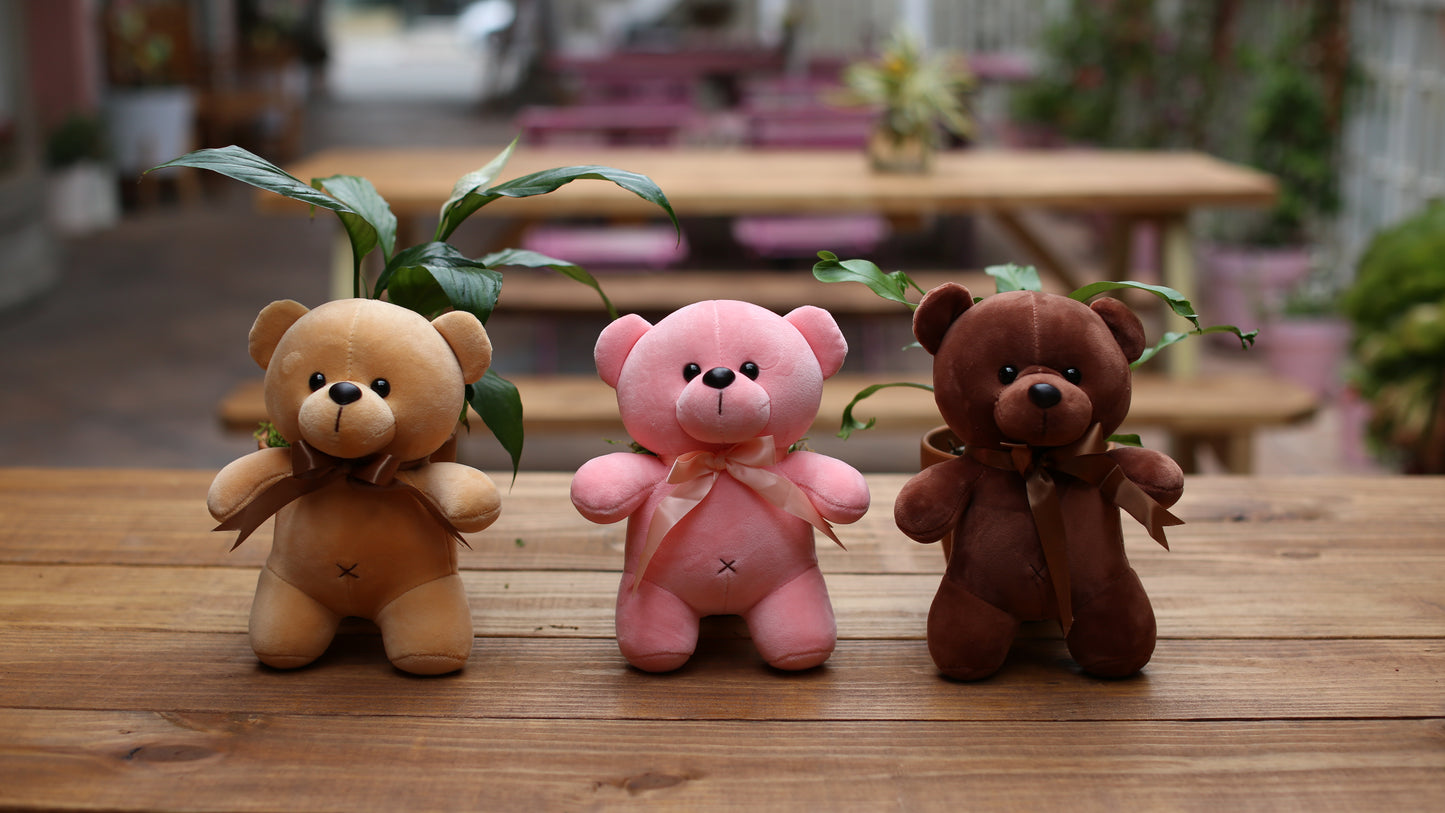 Teddy Bear Toy - Los Angeles Florist - Pink Clover