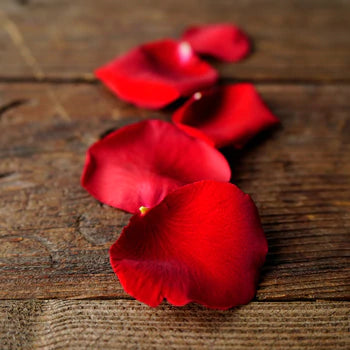 Vibrant red rose petals arranged in a natural, elegant style for luxury floral decoration