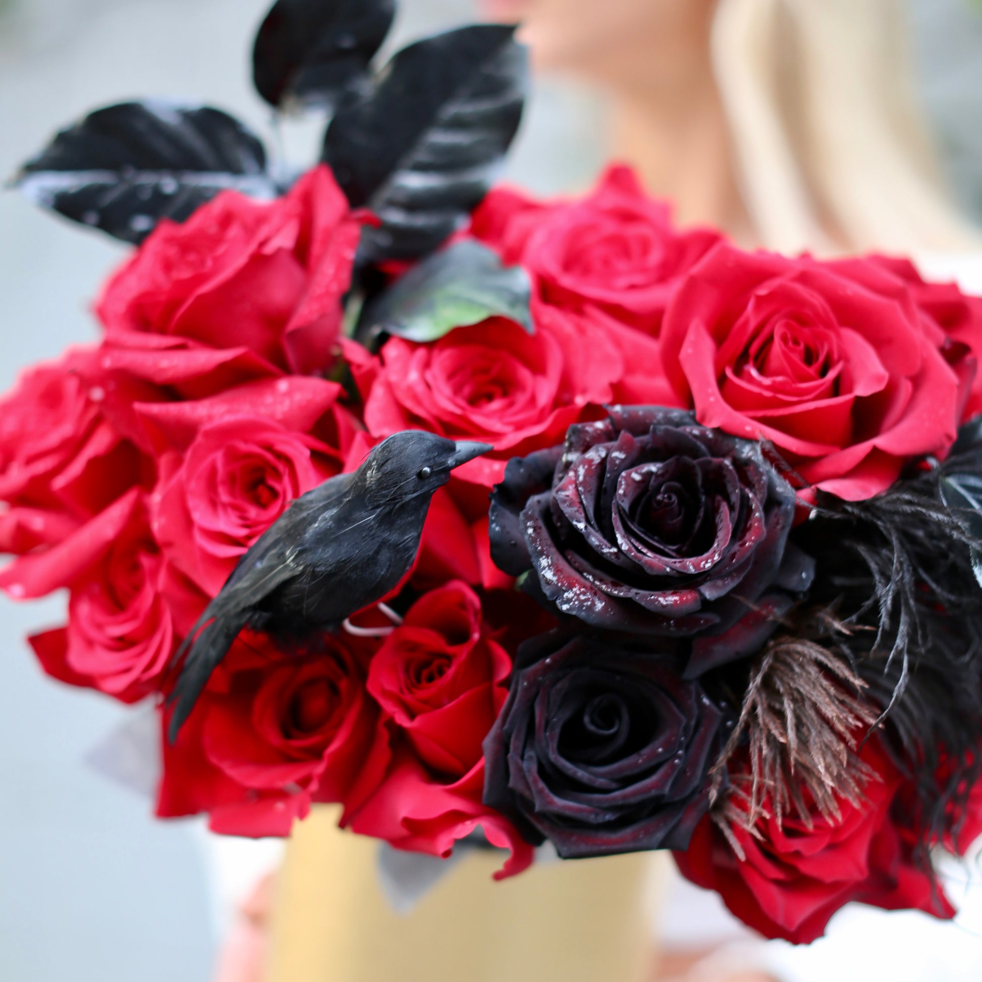 Elegant red and black rose arrangement styled with dark accents and decorative feathers, perfect for Halloween celebrations and luxury delivery