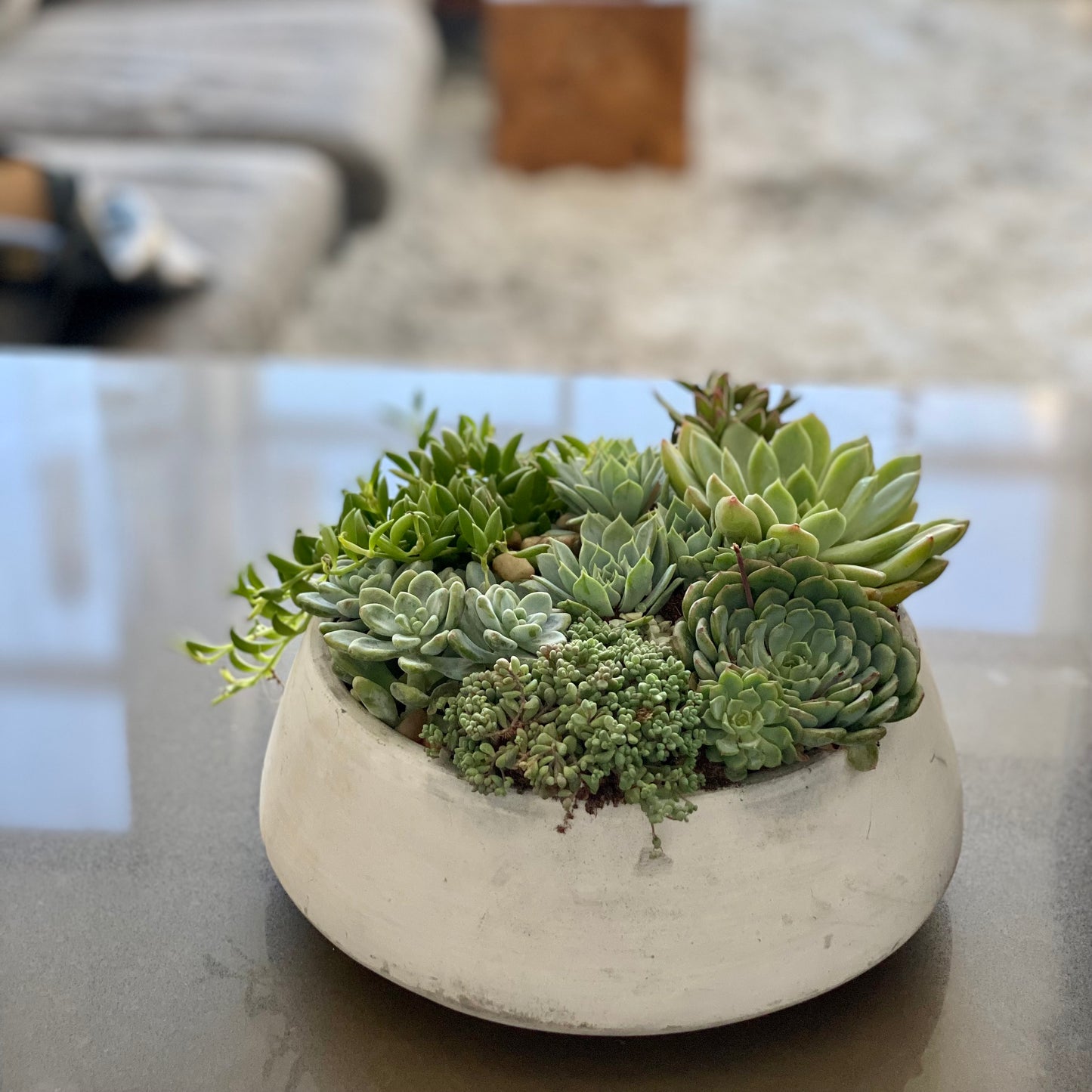 Green garden - Los Angeles Florist - Pink Clover