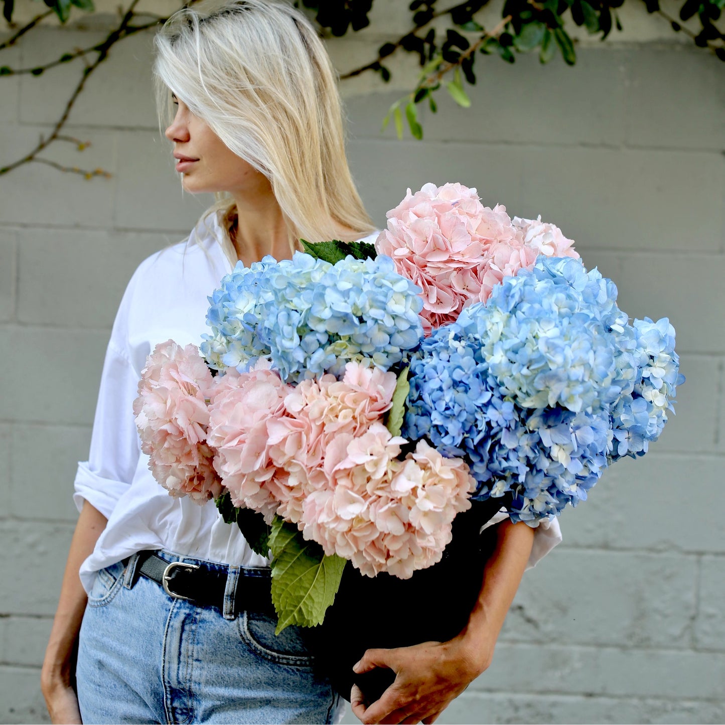 Bouquet of Hydrangea - Los Angeles Florist - Pink Clover