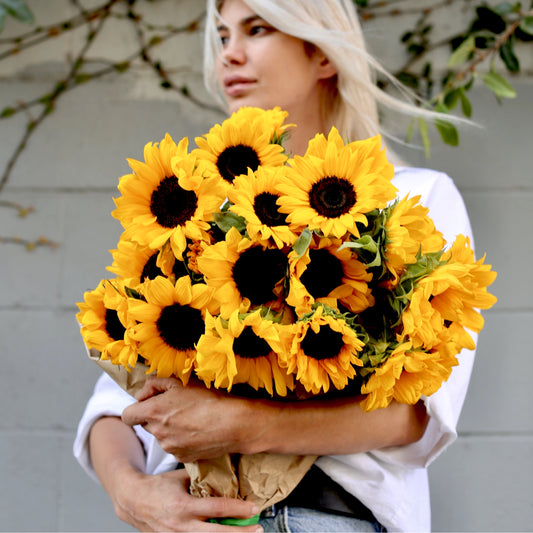 Vibrant bouquet of 20 fresh sunflowers arranged for luxury gifting – ideal for birthdays and uplifting occasions