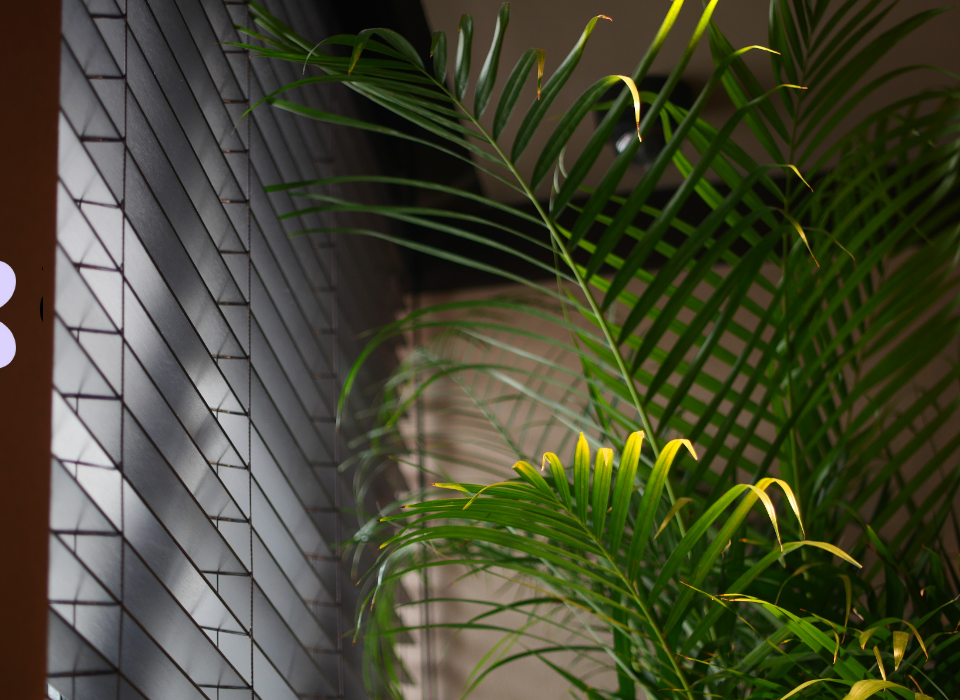 Corporate Floral Services for Offices in Los Angeles