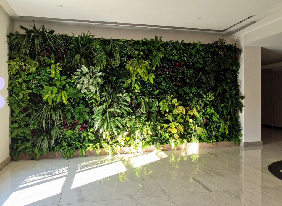 Corporate Floral Services for Offices in Los Angeles