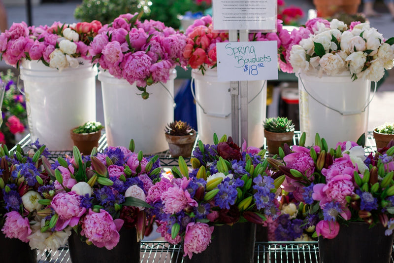 Best Farmers Markets in Los Angeles for Fresh Flowers