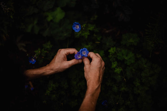 Floral Therapy Benefits for Autism Spectrum Support