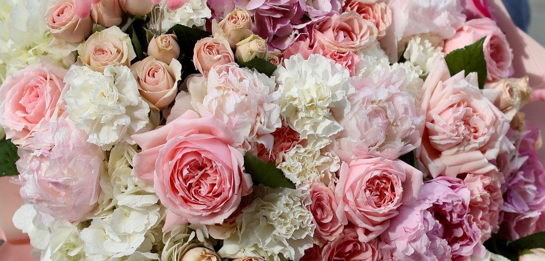 Seasonal Flowers in Los Angeles: What’s in Bloom Year-Round