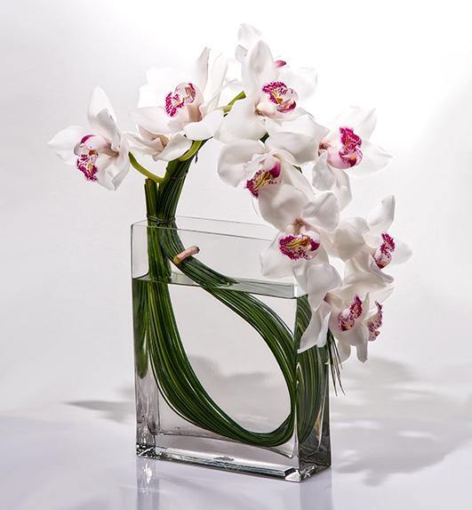 How to Make Your Orchids Last Longer - Los Angeles Florist - Pink Clover
