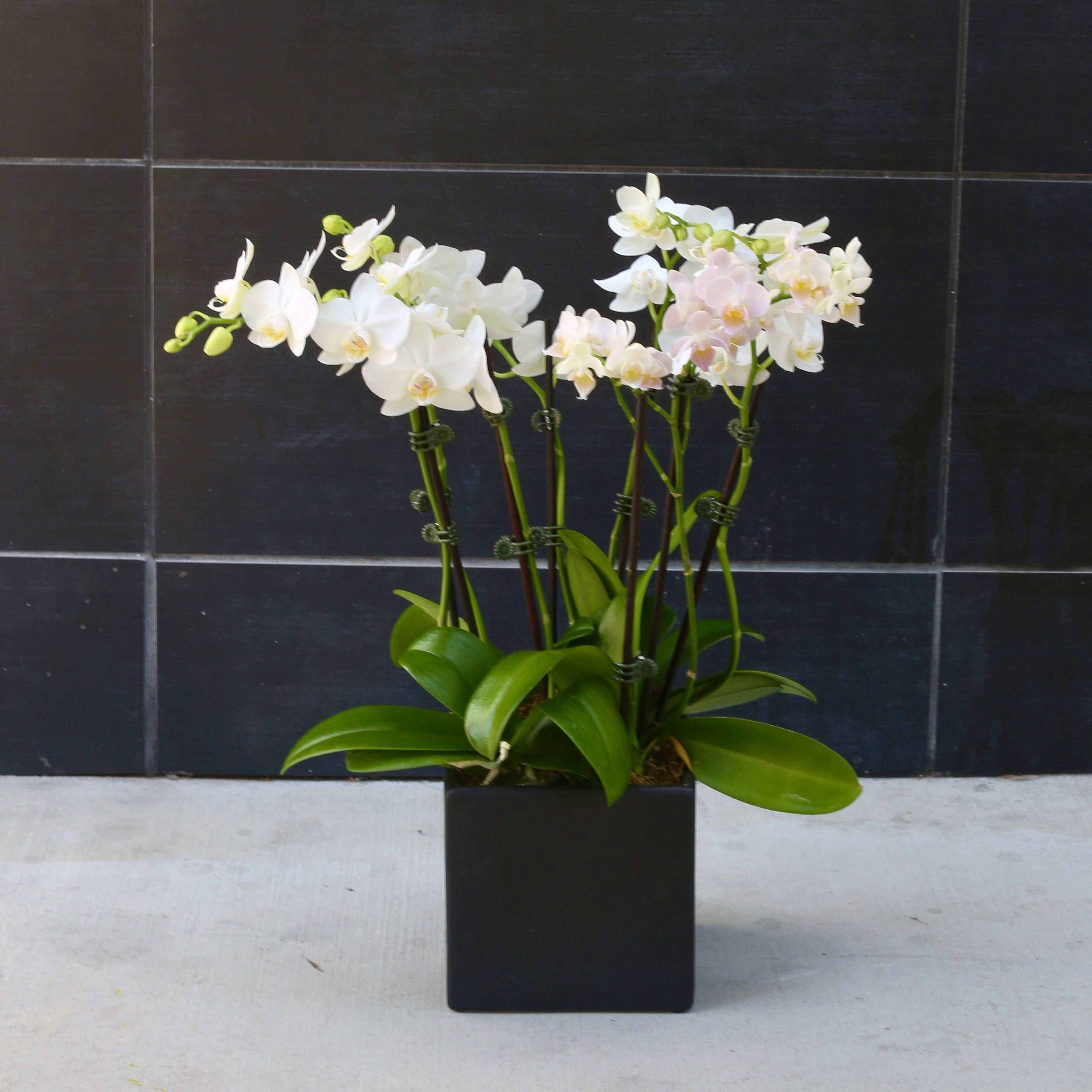 Lunar Petals bouquet from Pink Clover LA, styled with fresh blooms and shimmering details