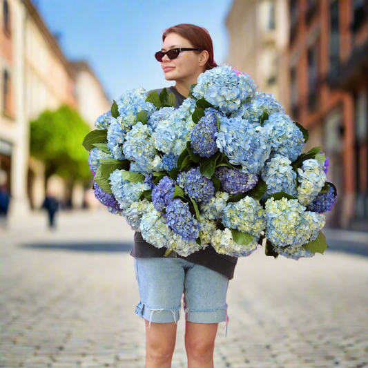 Sapphire Dreams - Los Angeles Florist - Pink Clover