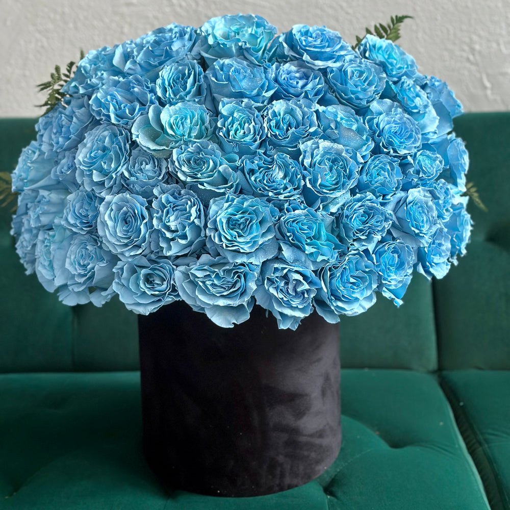 
                  
                    Ocean Breeze (light blue roses in a velvet box)
                  
                