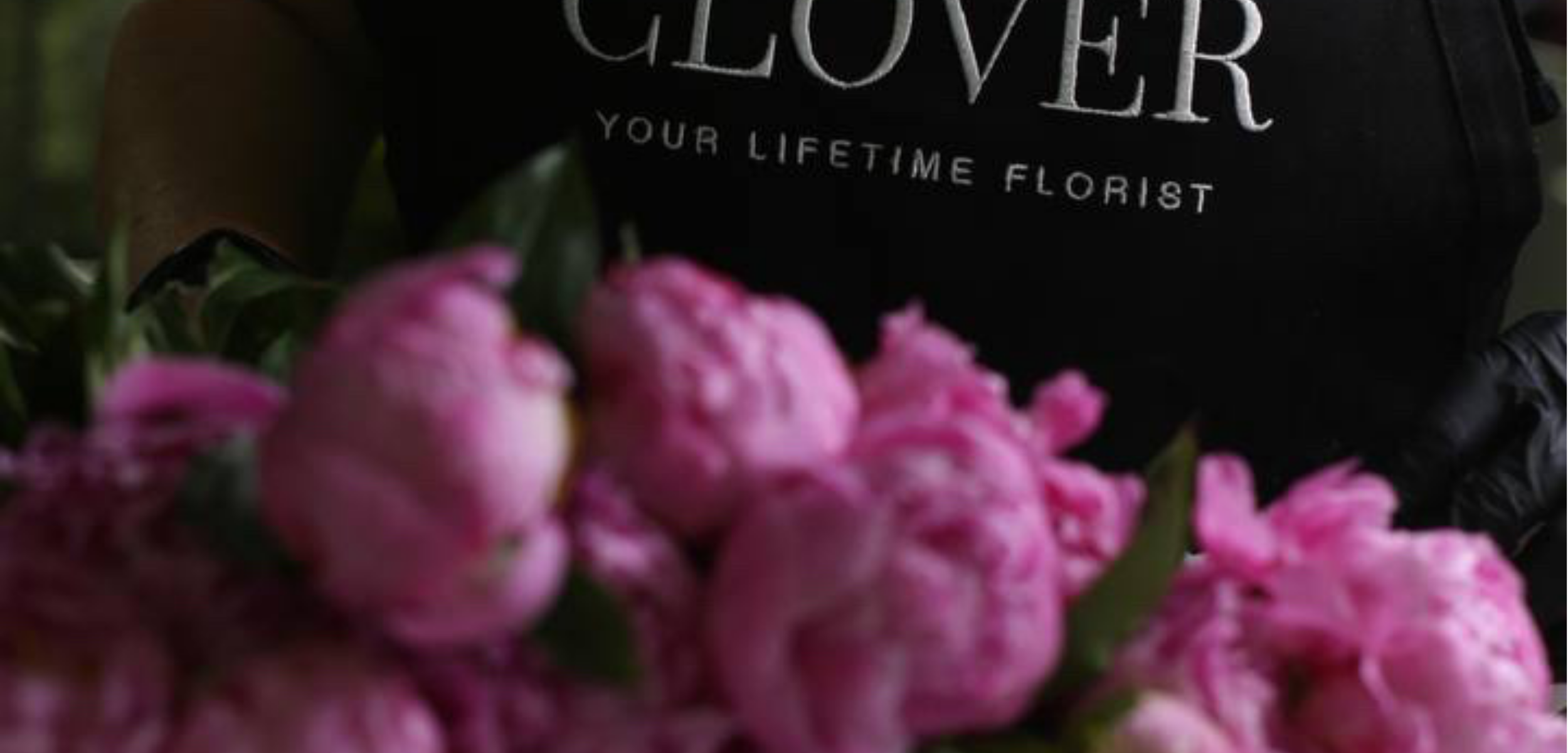 roses_1_9ed27cbc-b4a0-4c7d-8855-09b7558e5ab9.png