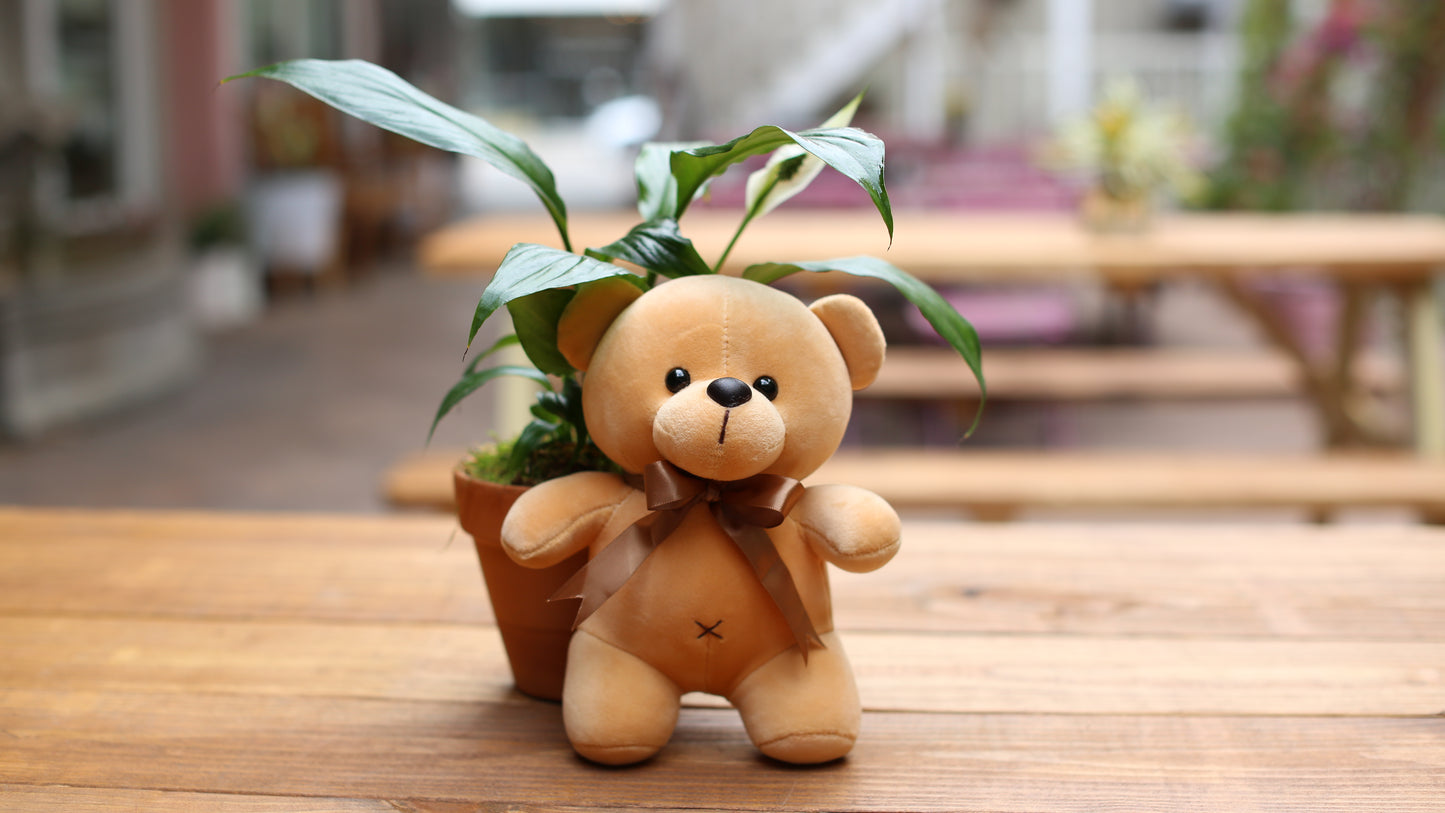 
                  
                    Teddy Bear Toy
                  
                