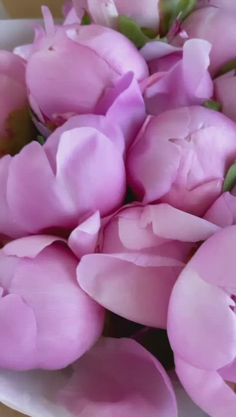 
                  
                    Load and play video in Gallery viewer, Bouquet of Peonies
                  
                