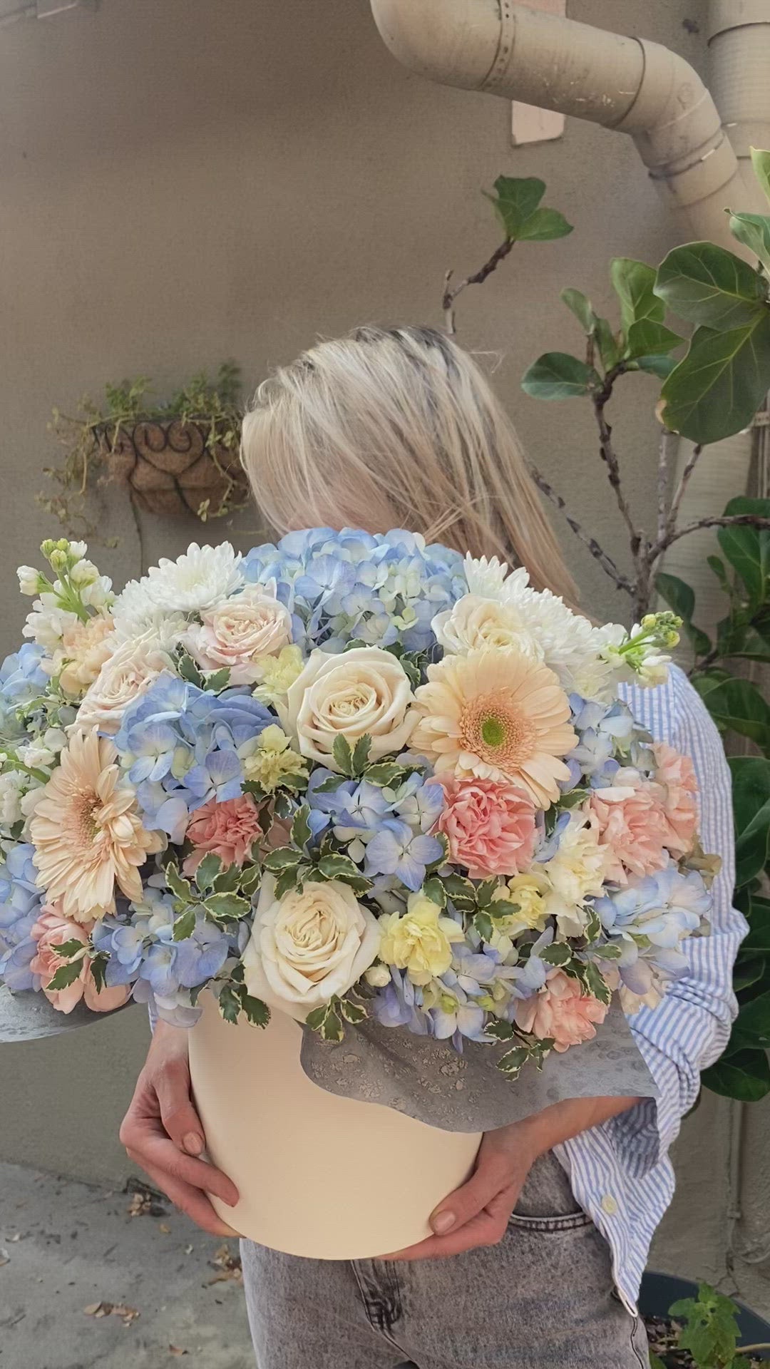 
                  
                    Load and play video in Gallery viewer, Daisy (daisies, hydrangea and roses)
                  
                