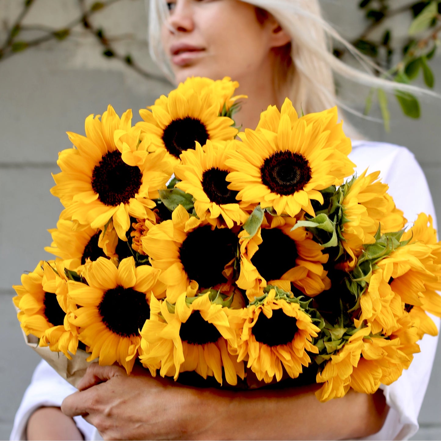 
                  
                    Sunshine (bouquet of sunflowers)
                  
                